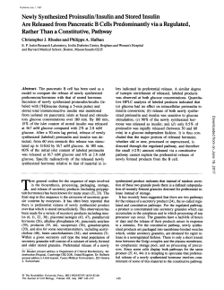 Newly Synthesized Proinsulin/Insulin and Stored Insulin Are