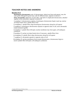 TEACHER NOTES AND ANSWERS Section 6.2