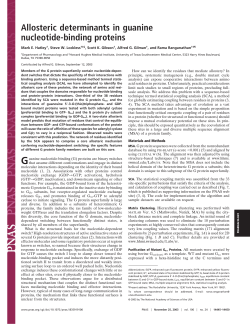 Allosteric determinants in guanine nucleotide-binding