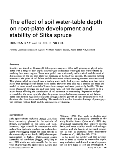 The effect of soil water-table depth on root
