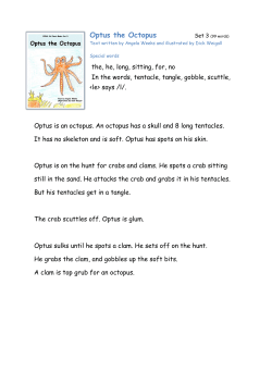 Optus the Octopus - Speld-sa