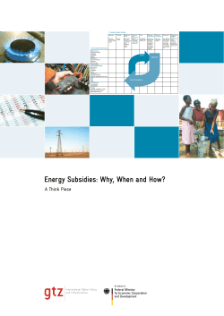 Energy Subsidies