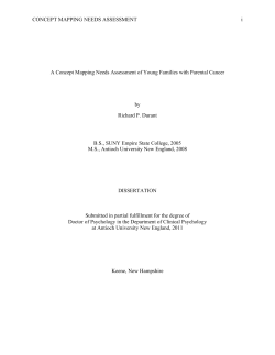 CONCEPT MAPPING NEEDS ASSESSMENT i A Concept Mapping