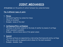 joint mechanics