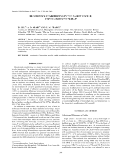 broodstock conditioning in the basket cockle, clinocardium