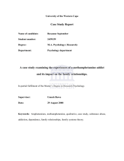 A case study examining the experiences of a methamphetamine