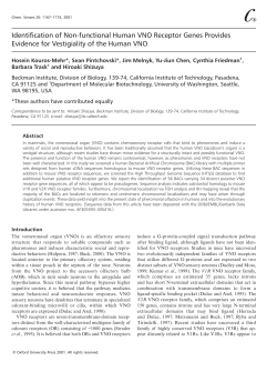 DS01101.CHP:Corel VENTURA