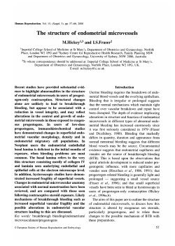 The structure of endometrial microvessels