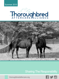 TAA Profile Summer 2015 - Thoroughbred Aftercare Alliance