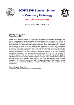 ECVP/ESVP Summer School in Veterinary Pathology