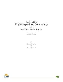 Characteristics of the Townships` English