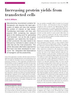 Increasing protein yields from transfected cells