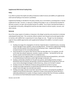 Supplemental Wild Animal Feeding Policy Policy In an effort to