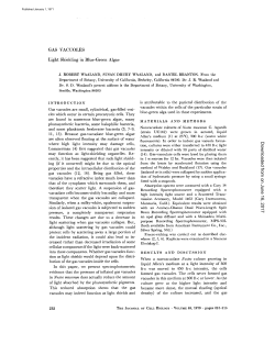 GAS VACUOLES Light Shielding in Blue