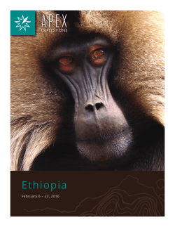 Ethiopia travel tours brochure with itinerary and