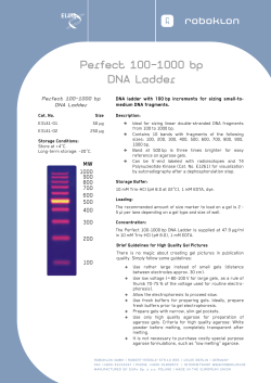 Perfect 100-1000 bp DNA Ladder