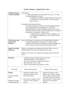 Grade 2 Science: Animal Life Cycles