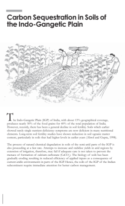 Carbon Sequestration in Soils ofthe Indo-Gangetic Plain