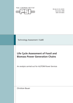Life Cycle Assessment of Fossil and Biomass Power Generation