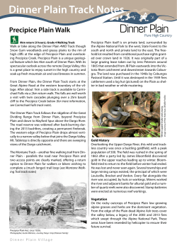 Precipice Plain Walk