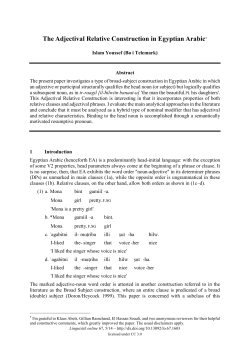 The Adjectival Relative Construction in Egyptian Arabic*