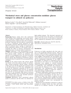 Mechanical stress and glucose concentration modulate glucose