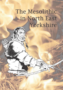 The Mesolithic in - Tees Archaeology