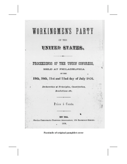 1876 &mdash; workingmen`s party constitution
