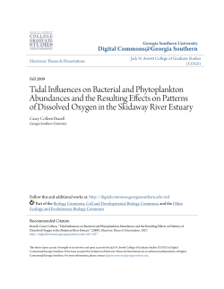 Tidal Influences on Bacterial and Phytoplankton