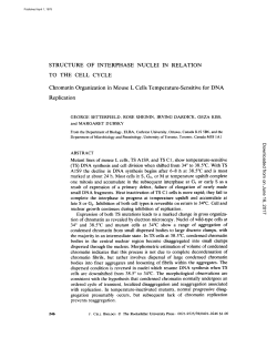 STRUCTURE OF INTERPHASE NUCLEI IN RELATION TO THE