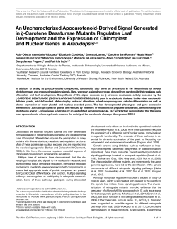An Uncharacterized Apocarotenoid-Derived Signal Generated in z