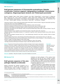 AR TICLE Draft genome sequence of the pine pathogen