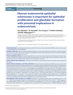 Human endometrial epithelial telomerase is important for epithelial
