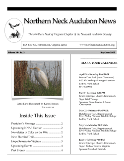 Northern Neck Audubon News - Northern Neck Audubon Society