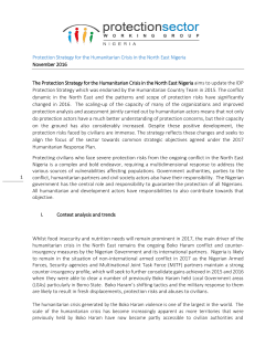 Protection Strategy North East Nigeria