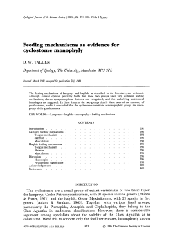 Feeding mechanisms as evidence for cyclostome monophyly