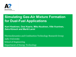 Simulating Gas-Air Mixture Formation for Dual
