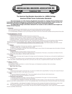 Conformation Standard PDF - American Dog Breeders Association