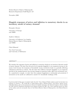 Sluggish Responses of Prices and Inflation to Monetary Shocks in