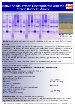 Protein Buffer Kit Anodic - EDC Electrophoresis Development