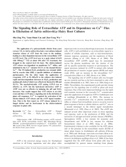 The Signaling Role of Extracellular ATP and its Dependence on Ca