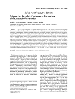 Epigenetics regulate centromere formation and kinetochore function