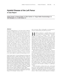 Tomak Dabak et al.p65