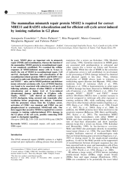The mammalian mismatch repair protein MSH2 is required for