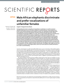 Male African elephants discriminate and prefer
