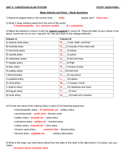 KEY: RG-Arteries and Veins