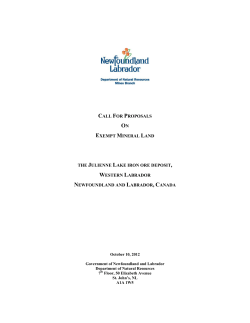 Call for Proposals (Expression of Interest)
