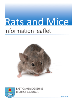 Rats and Mice - East Cambridgeshire District Council