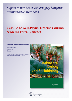 Supersize me: heavy eastern grey kangaroo mothers have more