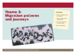 Theme 3: Migration patterns and journeys